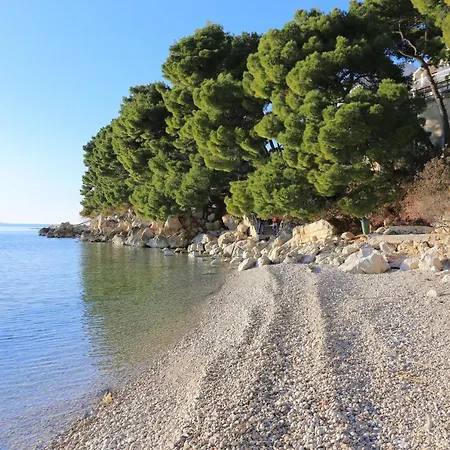 2625a 아파트 자오스트로그